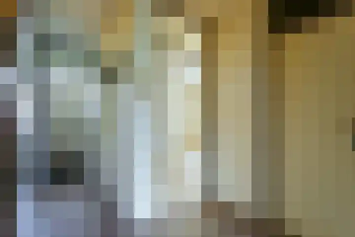 Heliotrooplaan 354 T Den Haag thumbnail 6