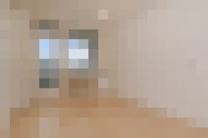 Heliotrooplaan 356 D Den Haag thumbnail 14