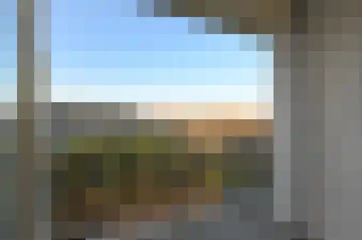 Heliotrooplaan 356 D Den Haag thumbnail 17