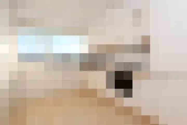 Heliotrooplaan 356 D Den Haag thumbnail 22
