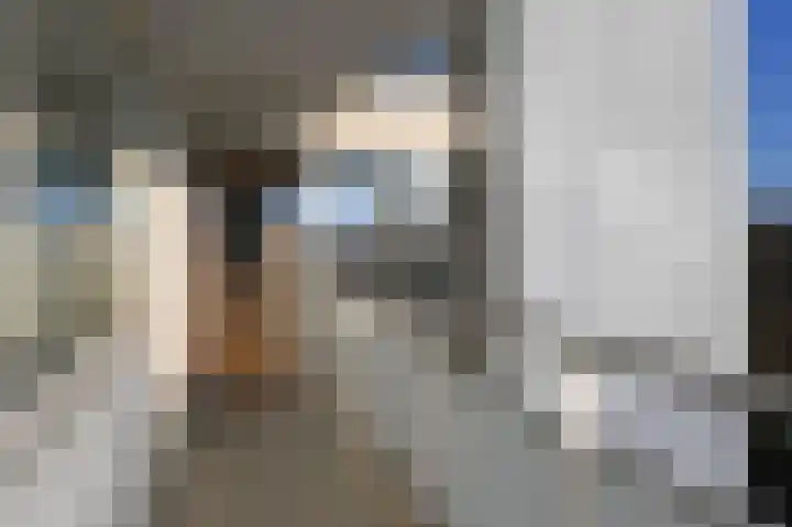 Heliotrooplaan 356 D Den Haag thumbnail 34