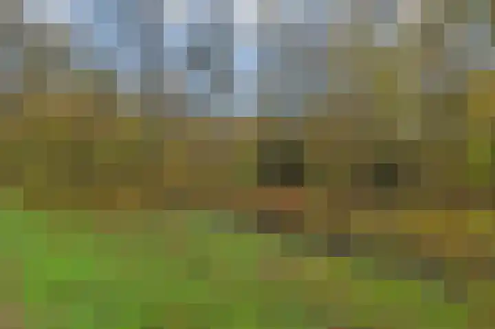 Heliotrooplaan 356 D Den Haag thumbnail 36