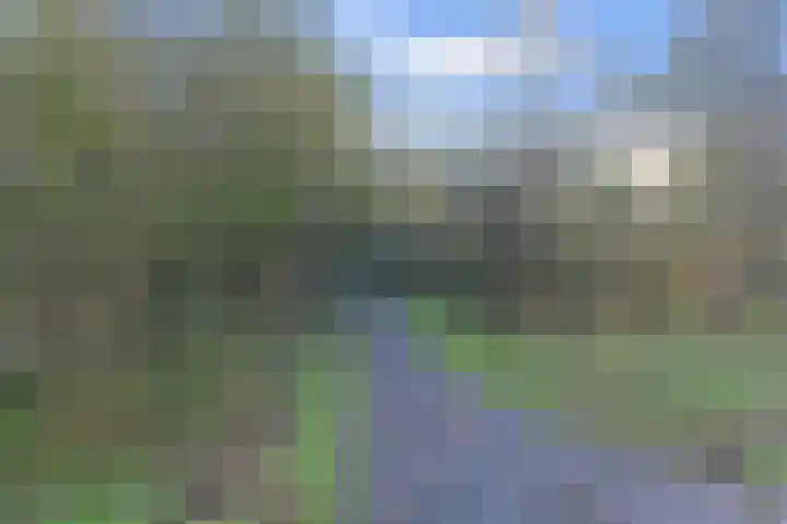 Heliotrooplaan 356 D Den Haag thumbnail 37