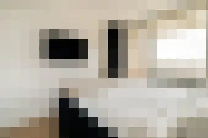 Heliotrooplaan 358 D Den Haag thumbnail 13