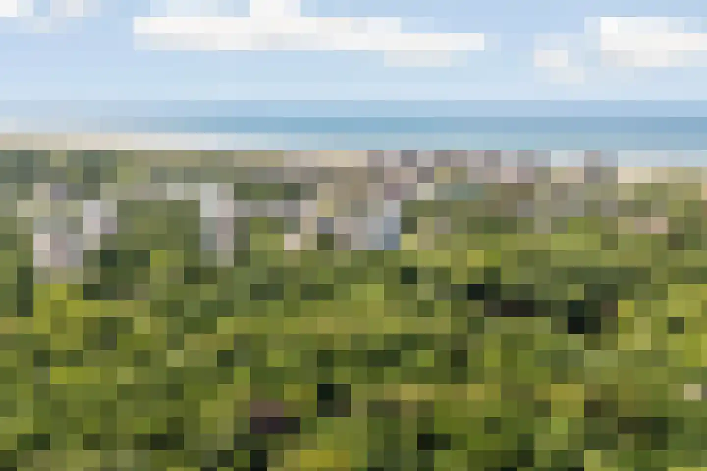 Heliotrooplaan 358 D Den Haag thumbnail 39