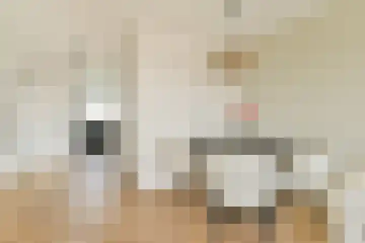 Heliotrooplaan 358 D Den Haag thumbnail 8