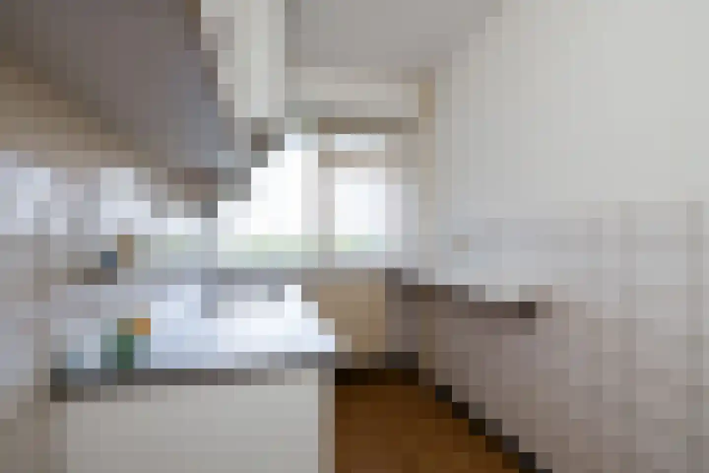 Heliotrooplaan 358 P Den Haag thumbnail 12