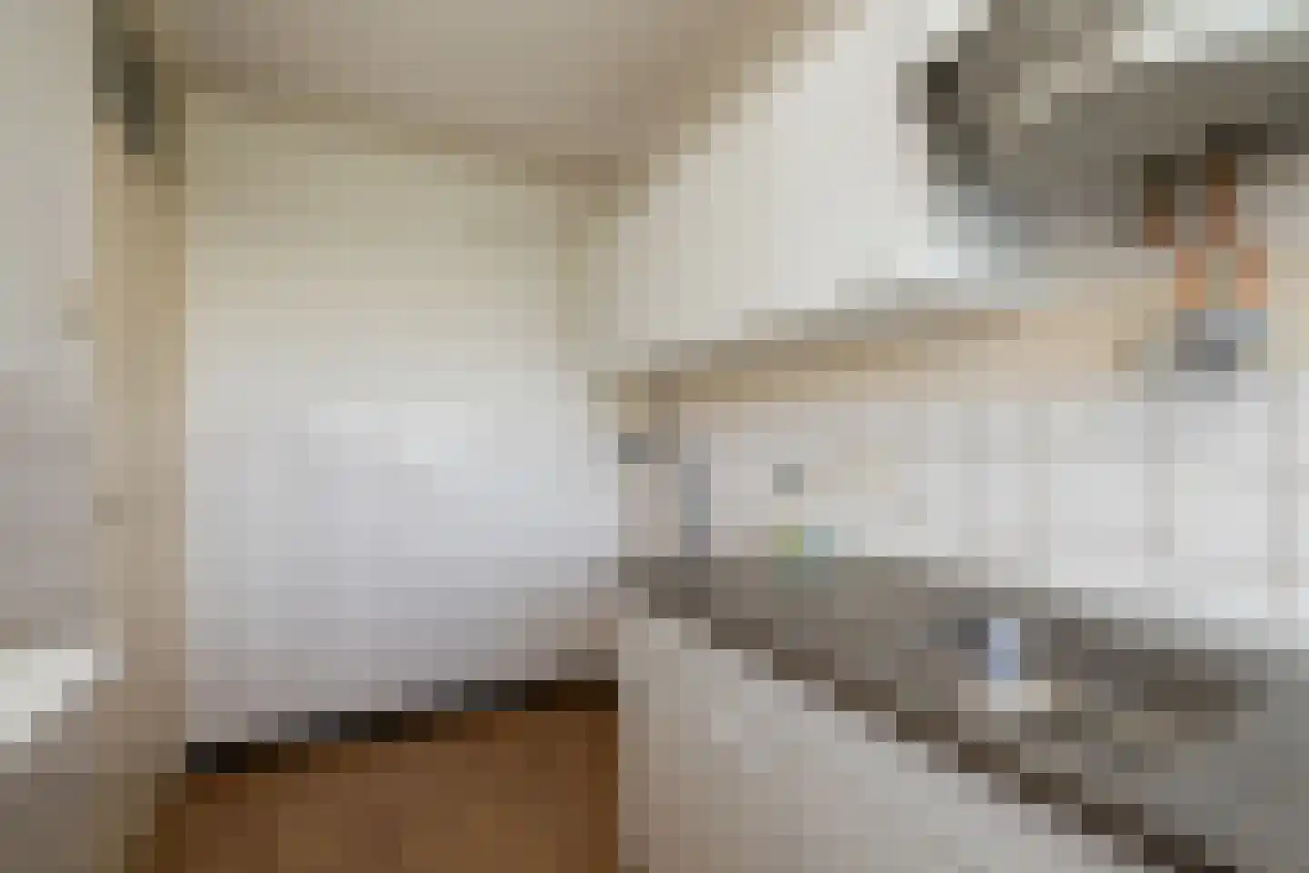 Heliotrooplaan 358 P Den Haag thumbnail 13