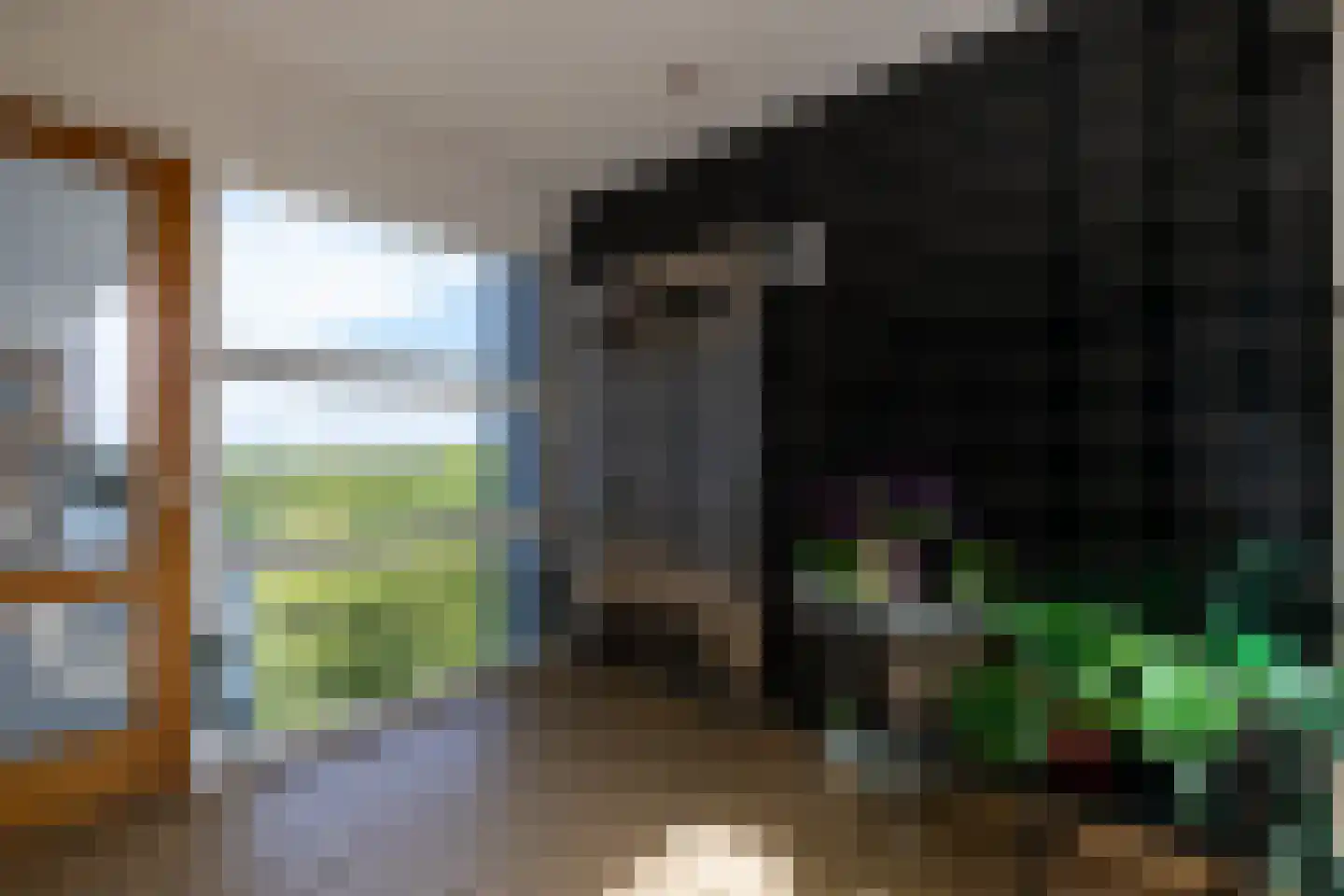 Heliotrooplaan 358 P Den Haag thumbnail 25