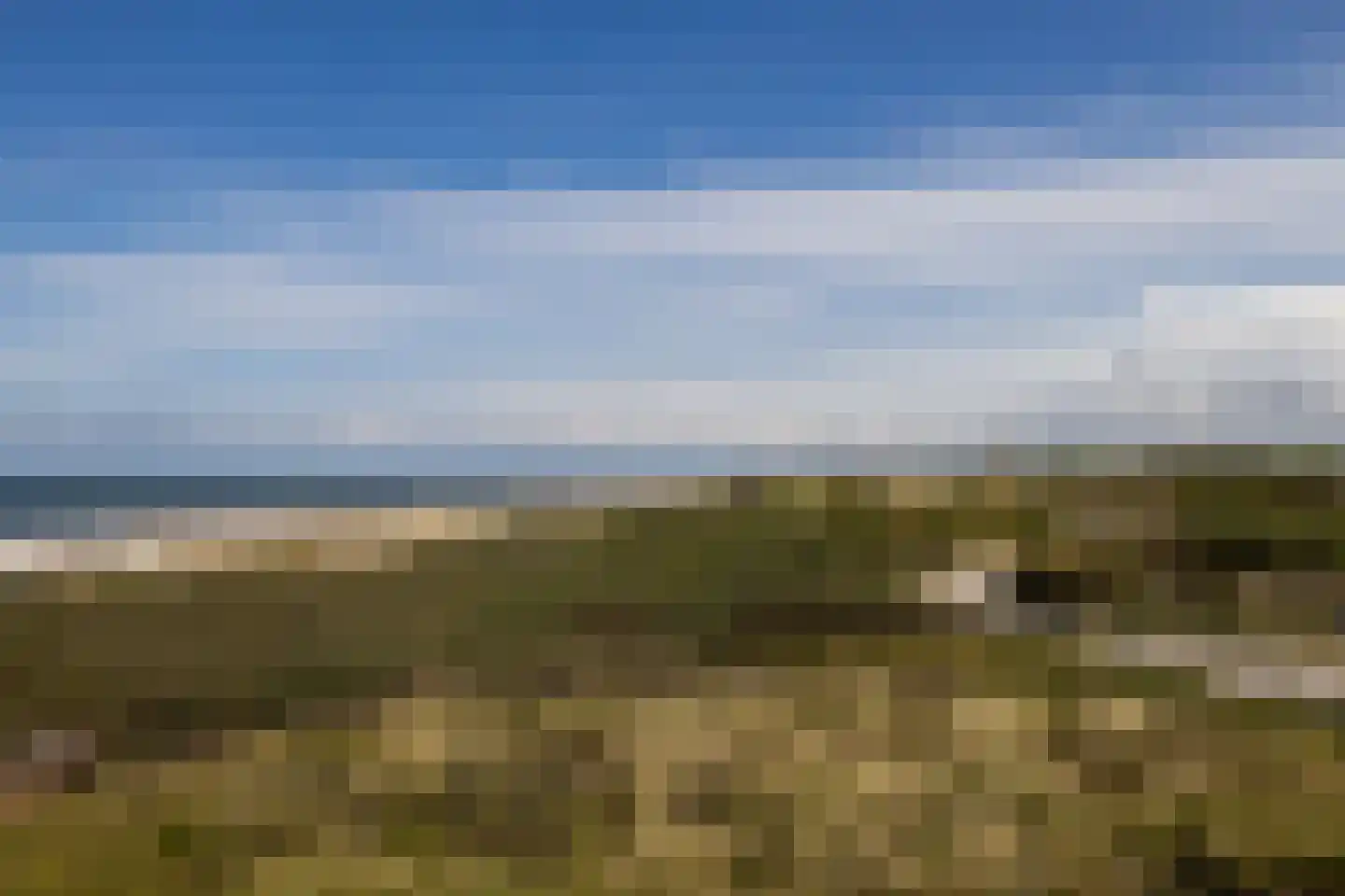 Heliotrooplaan 358 P Den Haag thumbnail 34