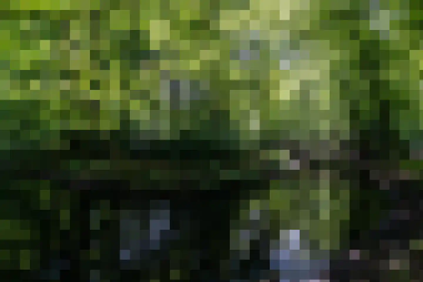 Heliotrooplaan 358 P Den Haag thumbnail 35