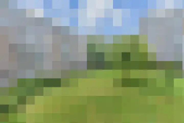 Heliotrooplaan 400 Den Haag thumbnail 11