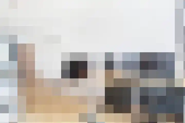 Heliotrooplaan 400 Den Haag thumbnail 12