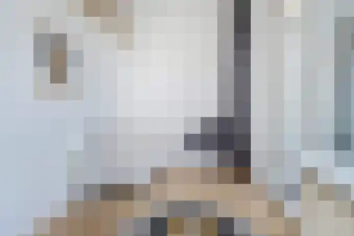 Heliotrooplaan 400 Den Haag thumbnail 15