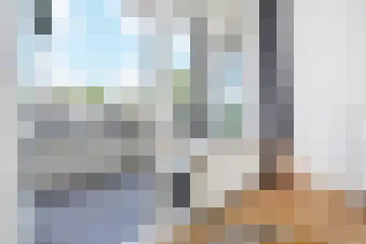 Heliotrooplaan 400 Den Haag thumbnail 17