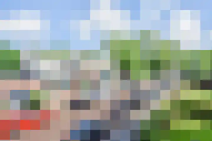 Heliotrooplaan 400 Den Haag thumbnail 19