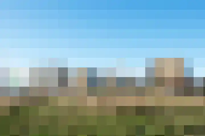 Heliotrooplaan 400 Den Haag thumbnail 37