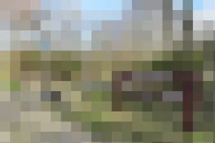 Heliotrooplaan 400 Den Haag thumbnail 40