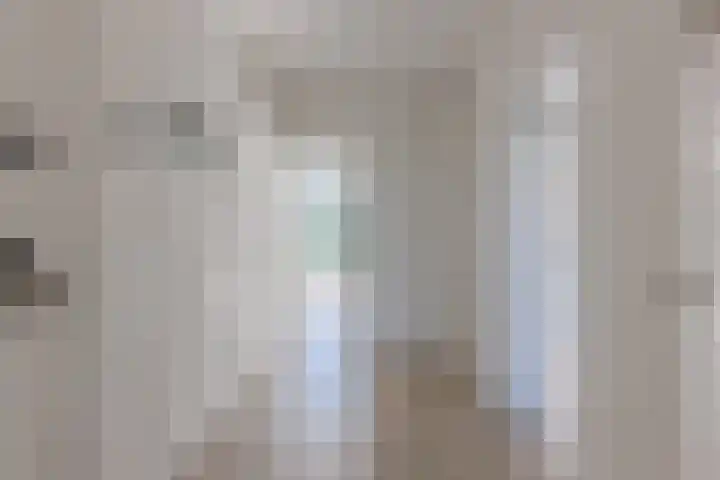 Heliotrooplaan 426 Den Haag thumbnail 11