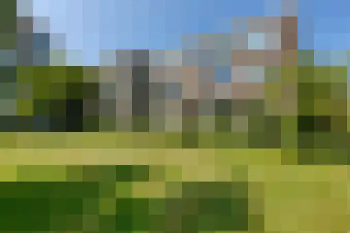 Heliotrooplaan 426 Den Haag thumbnail 19