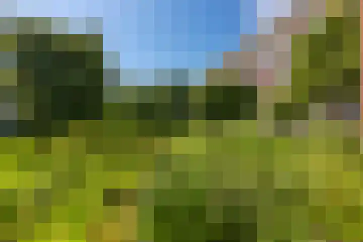 Heliotrooplaan 426 Den Haag thumbnail 20