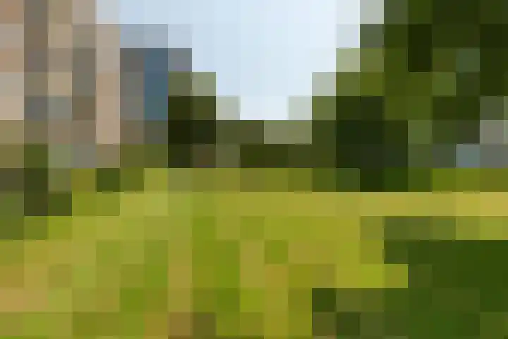 Heliotrooplaan 426 Den Haag thumbnail 24