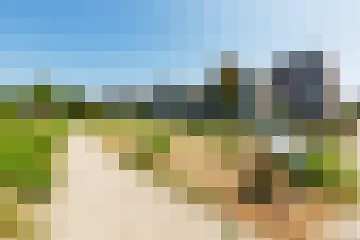 Heliotrooplaan 426 Den Haag thumbnail 28