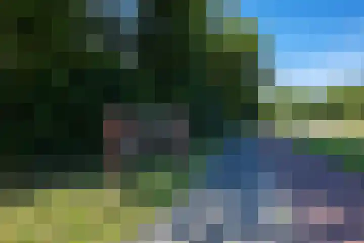 Heliotrooplaan 426 Den Haag thumbnail 30