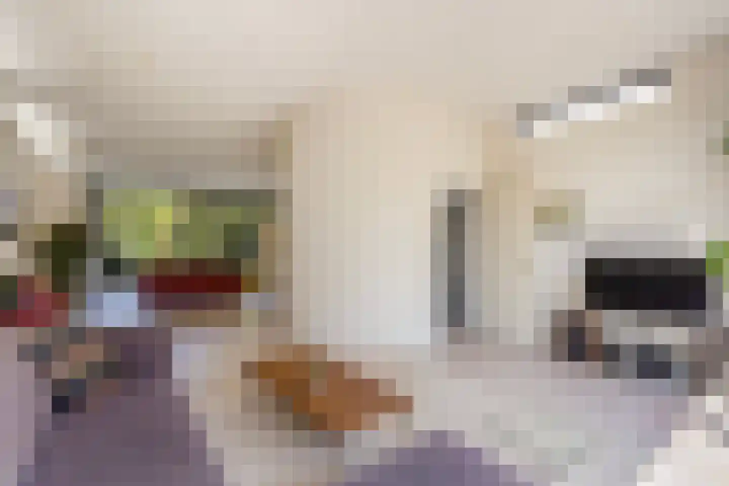 Heliotrooplaan 77 Den Haag thumbnail 11