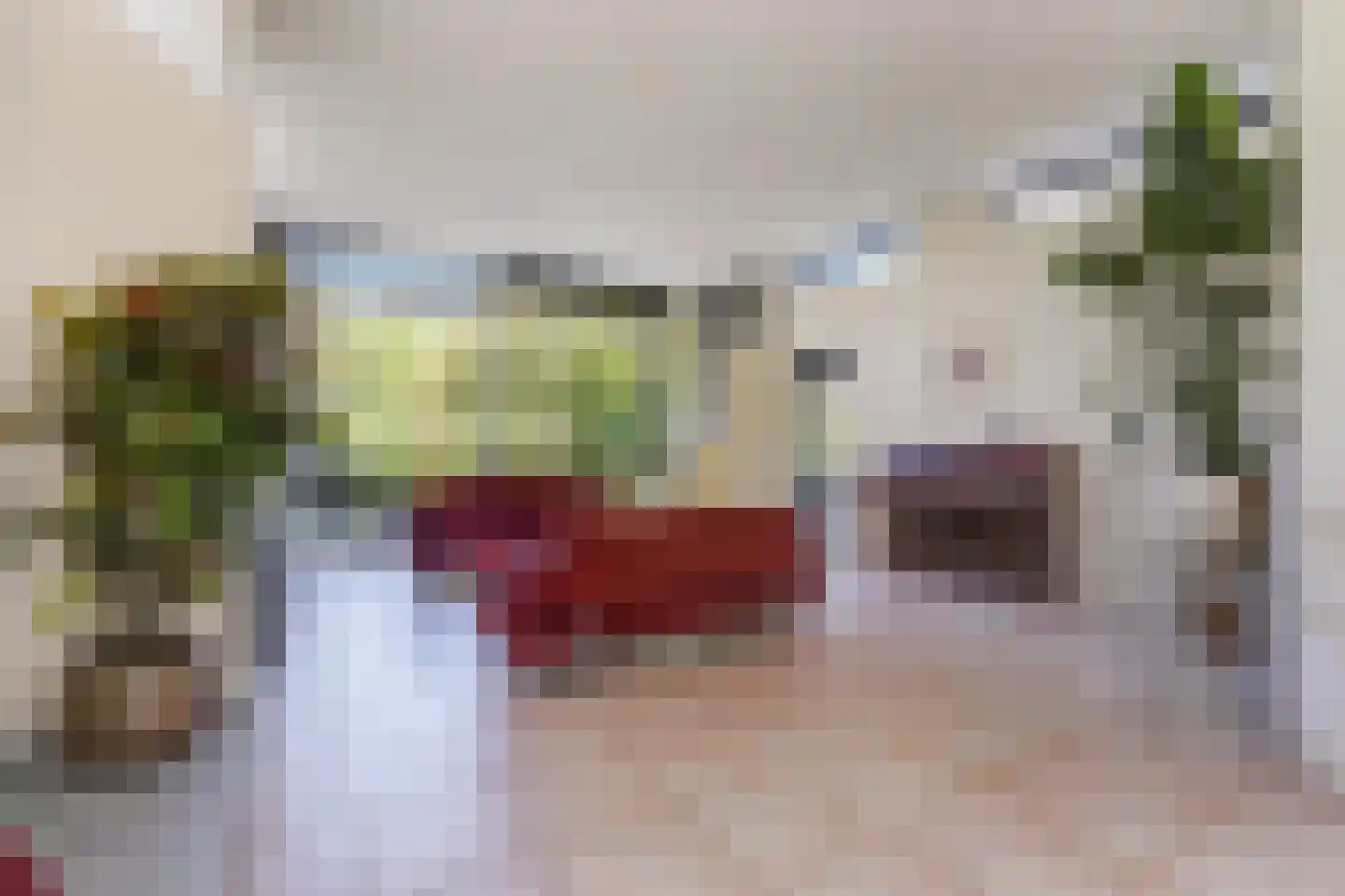 Heliotrooplaan 77 Den Haag thumbnail 13