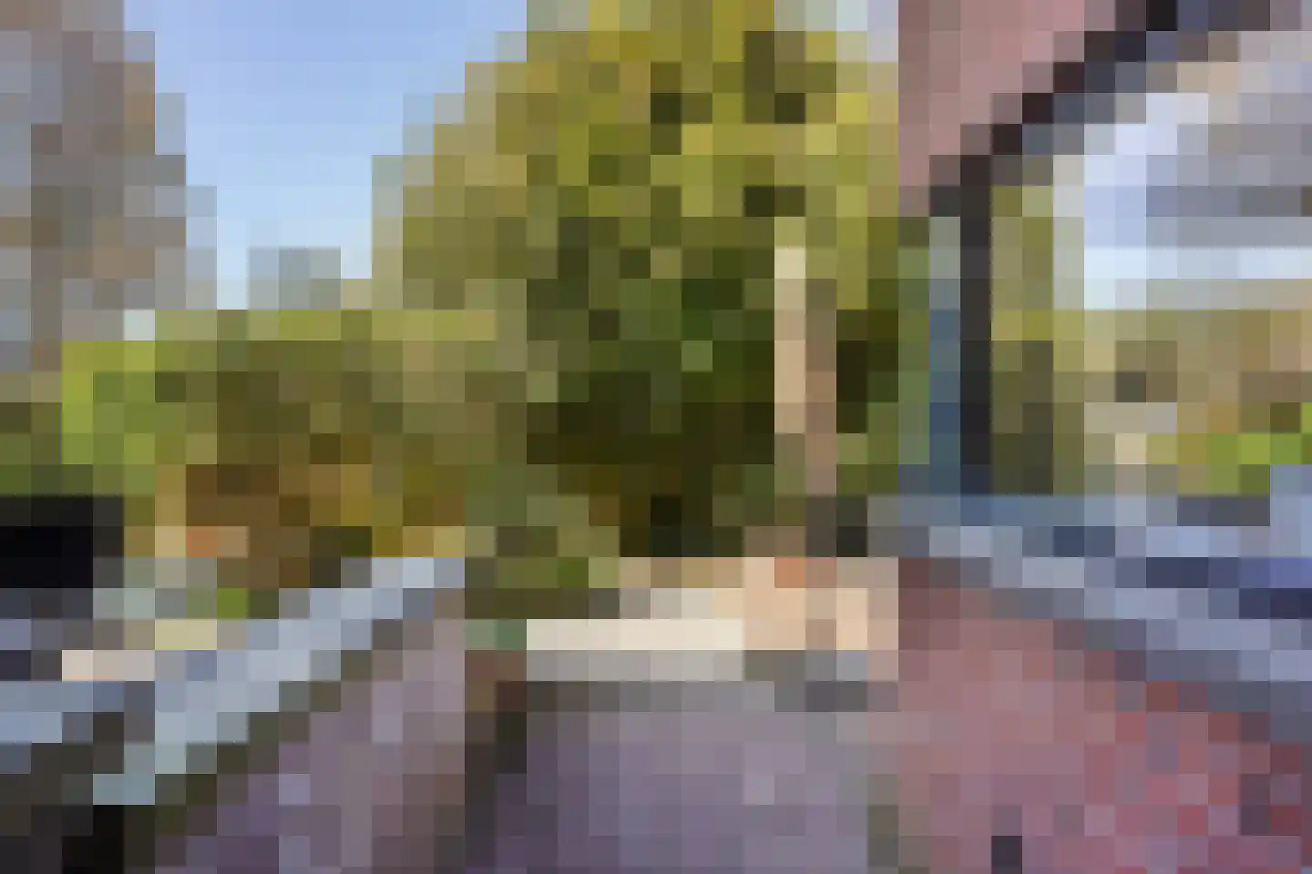 Heliotrooplaan 77 Den Haag thumbnail 15