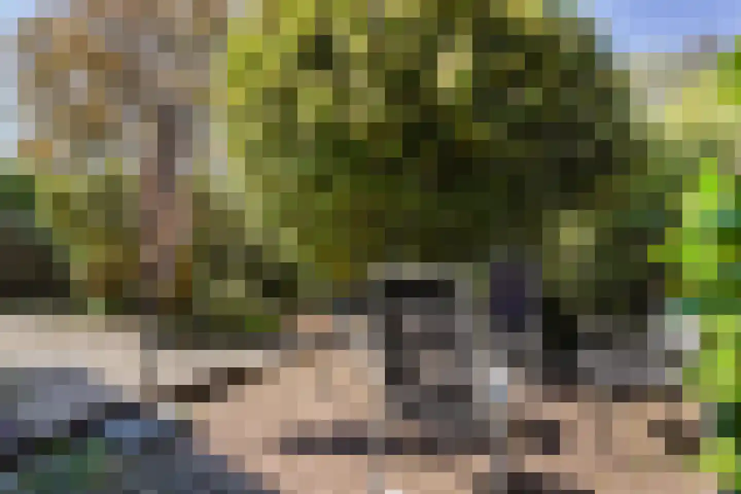 Heliotrooplaan 77 Den Haag thumbnail 17