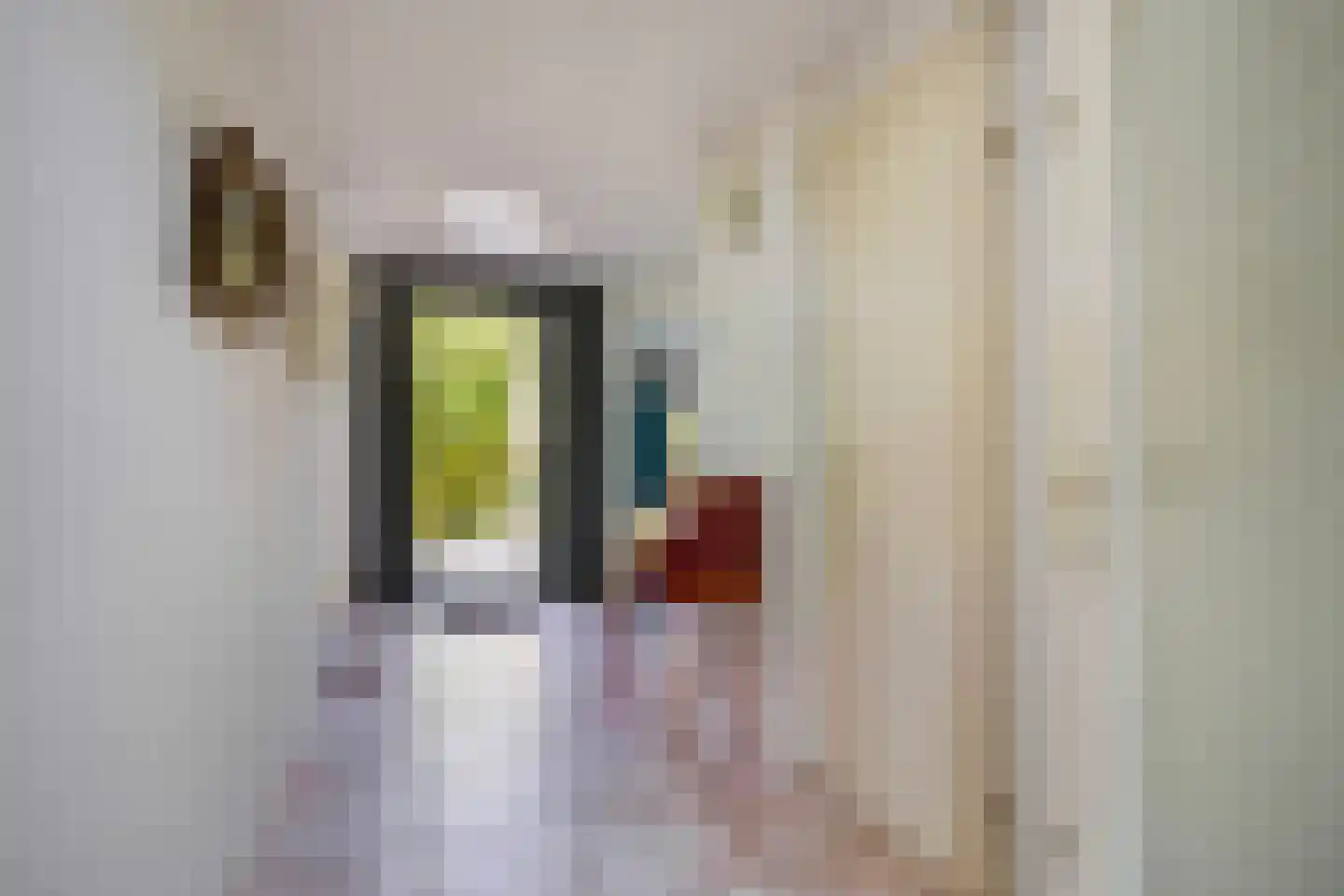 Heliotrooplaan 77 Den Haag thumbnail 29