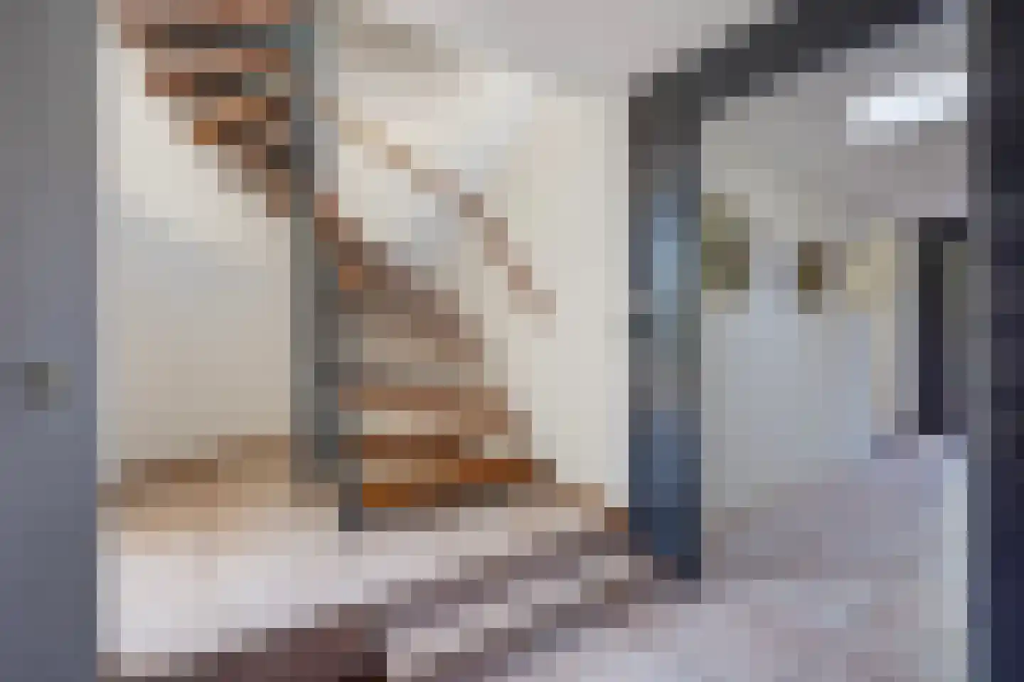 Heliotrooplaan 77 Den Haag thumbnail 31