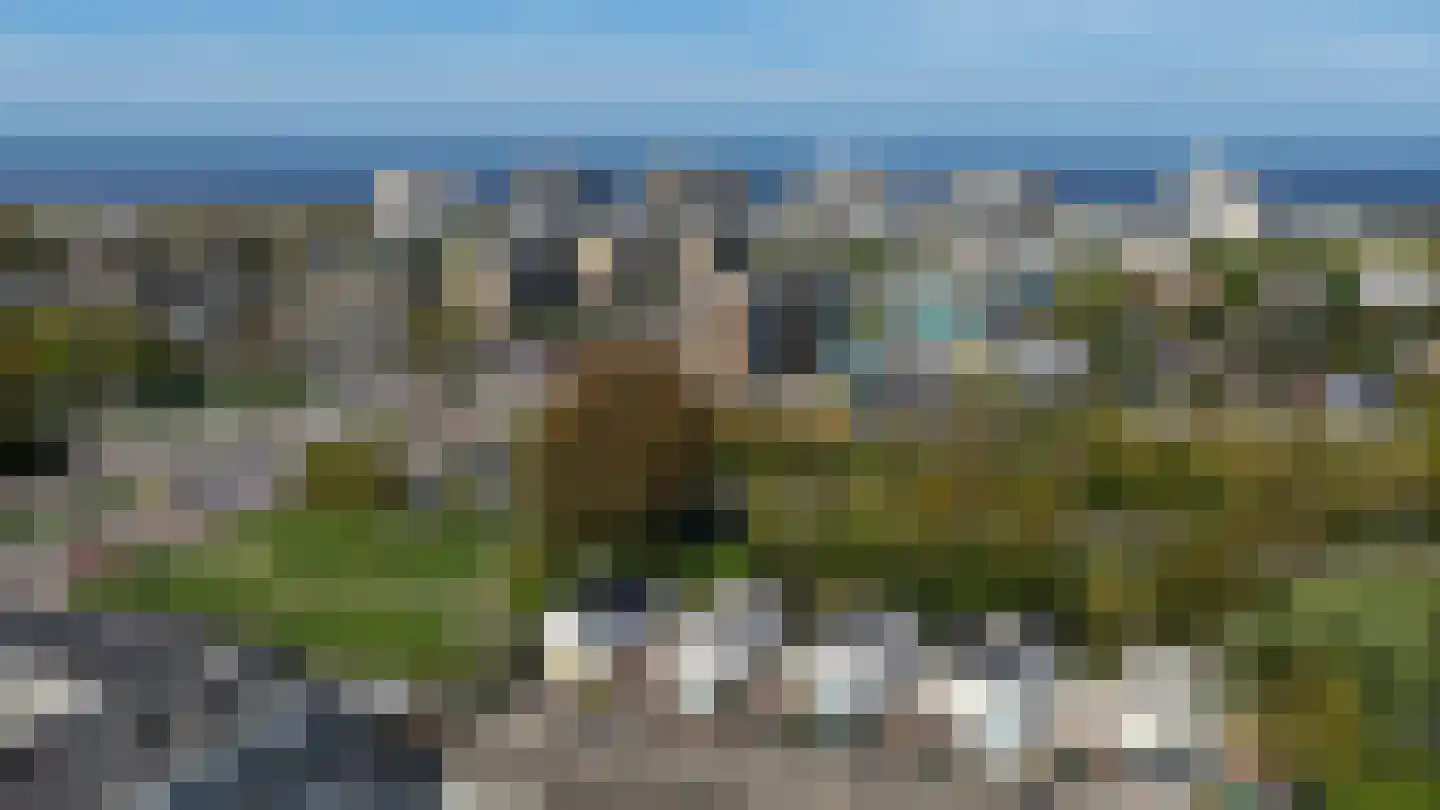 Heliotrooplaan 77 Den Haag thumbnail 53