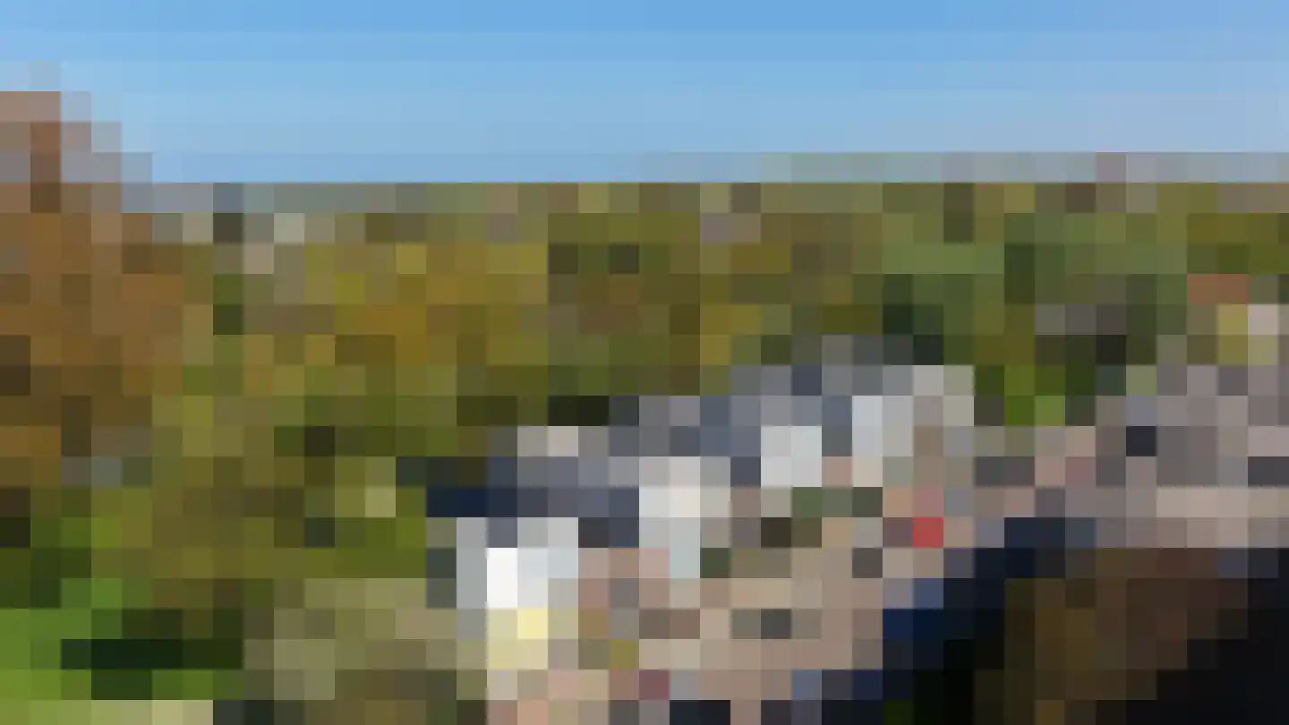 Heliotrooplaan 77 Den Haag thumbnail 55