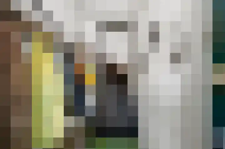 Heliotroopstraat 11 Amsterdam thumbnail 6