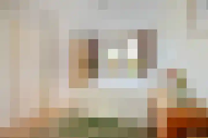 Heliotroopstraat 9 Amsterdam thumbnail 12