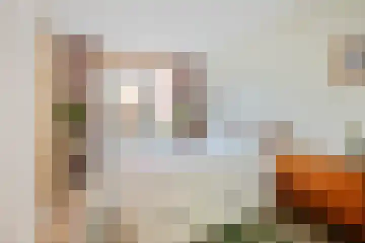Heliotroopstraat 9 Amsterdam thumbnail 13