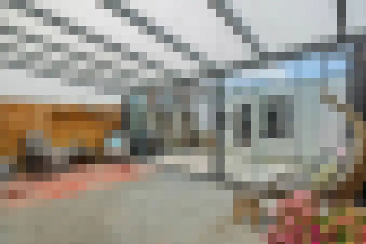 Heliusstraat 2 Rosmalen thumbnail 24