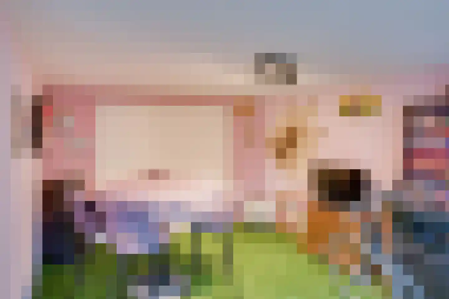 Heliusstraat 2 Rosmalen thumbnail 30