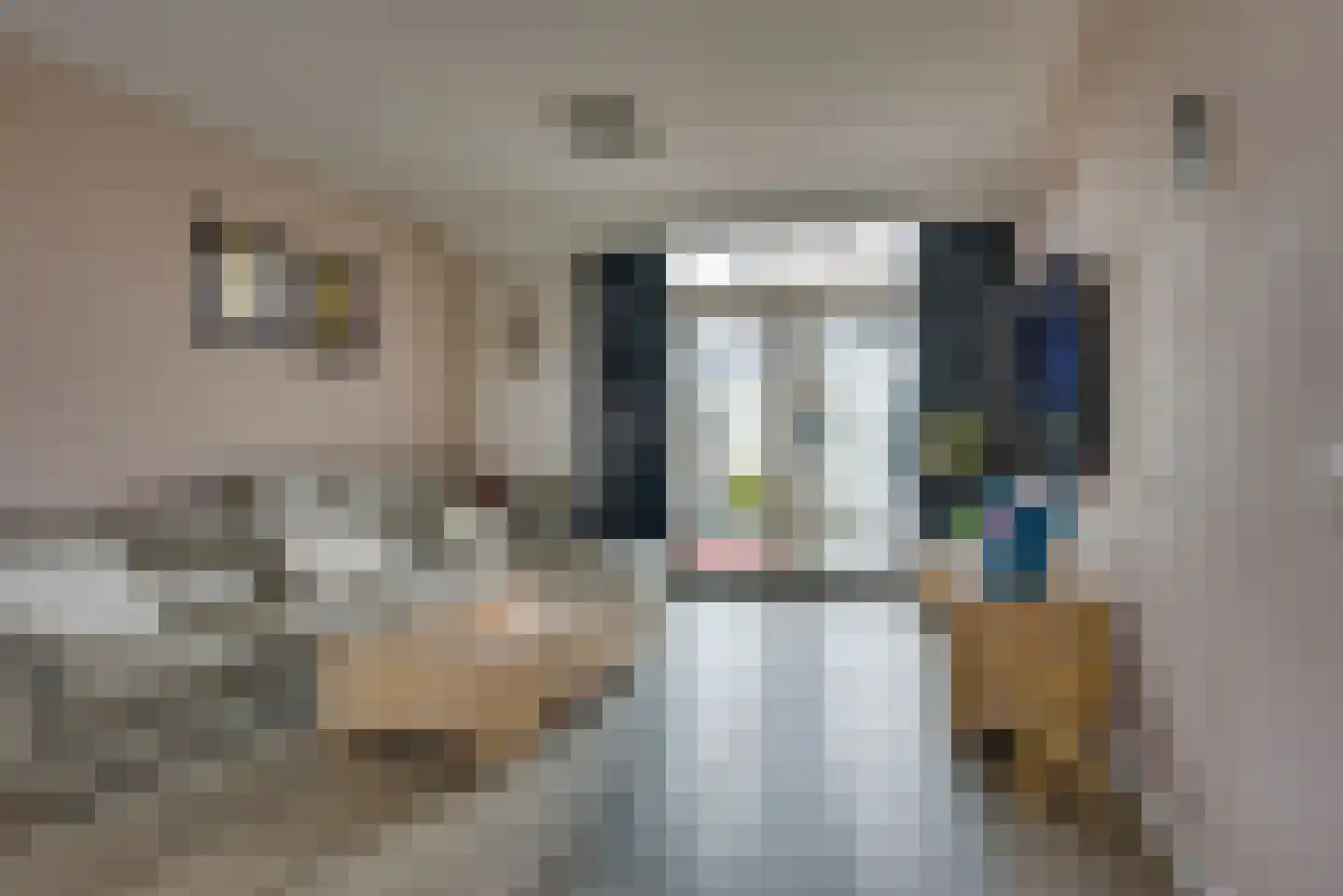 Heliusstraat 2 Rosmalen thumbnail 4