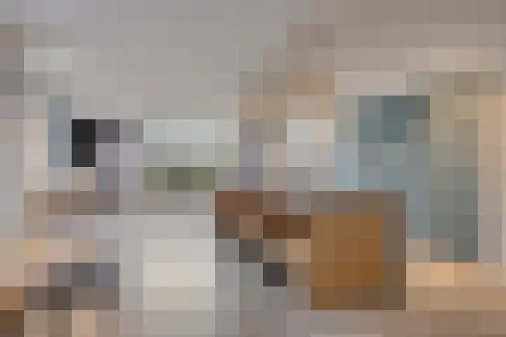 Helkantsedijk 22 Hooge Zwaluwe thumbnail 12