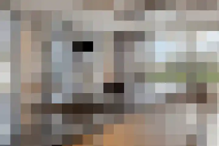 Helkantsedijk 22 Hooge Zwaluwe thumbnail 13