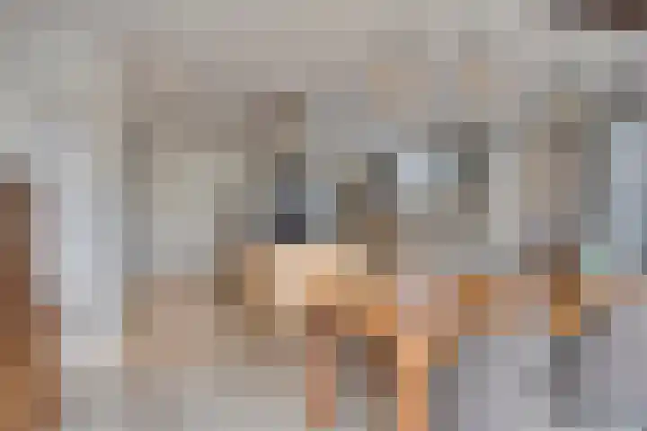Helkantsedijk 22 Hooge Zwaluwe thumbnail 17