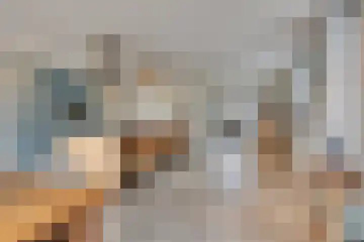 Helkantsedijk 22 Hooge Zwaluwe thumbnail 19