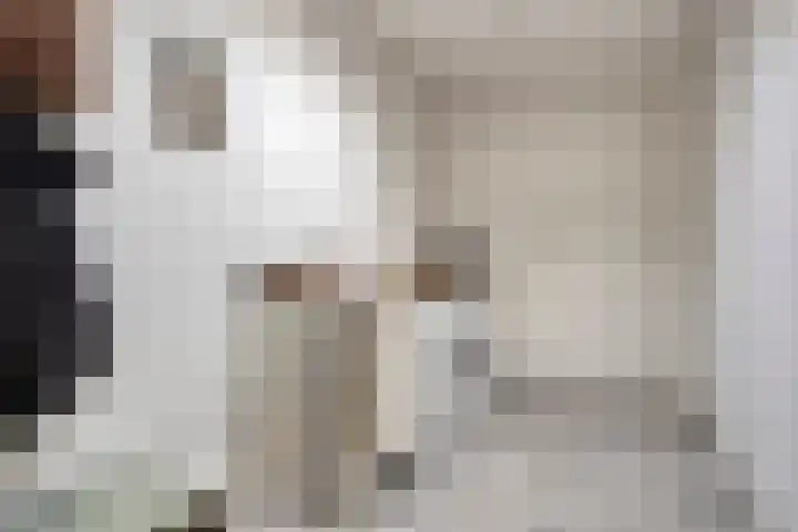 Helkantsedijk 22 Hooge Zwaluwe thumbnail 20
