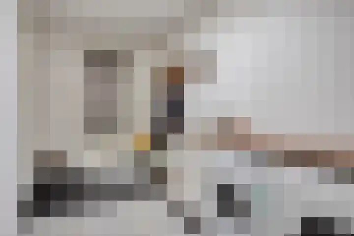 Helkantsedijk 22 Hooge Zwaluwe thumbnail 21