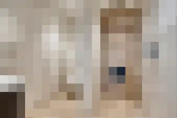 Helkantsedijk 22 Hooge Zwaluwe thumbnail 25