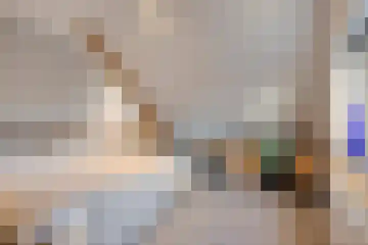 Helkantsedijk 22 Hooge Zwaluwe thumbnail 30